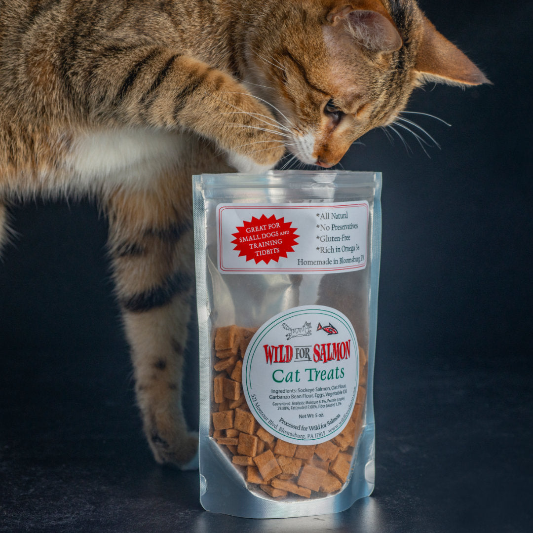 Cat Treats