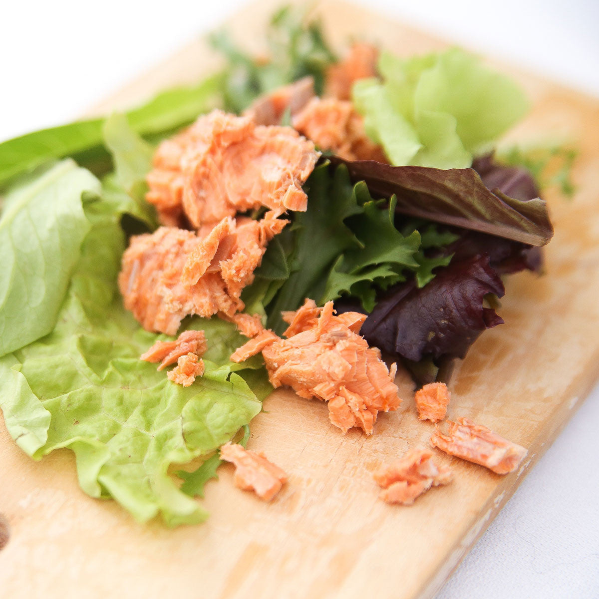 Canned Sockeye Salmon